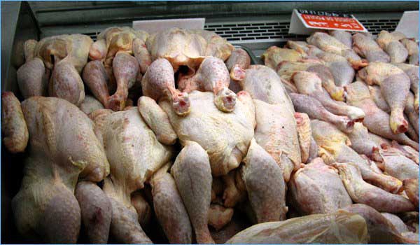 حجز 330 كلغ من الدجاج الفاسد