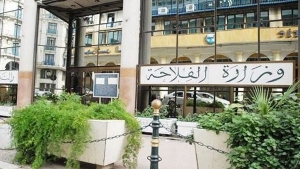 إلزام منتجي القمح والشعير بدفع محاصيلهم لتعاونيات الحبوب