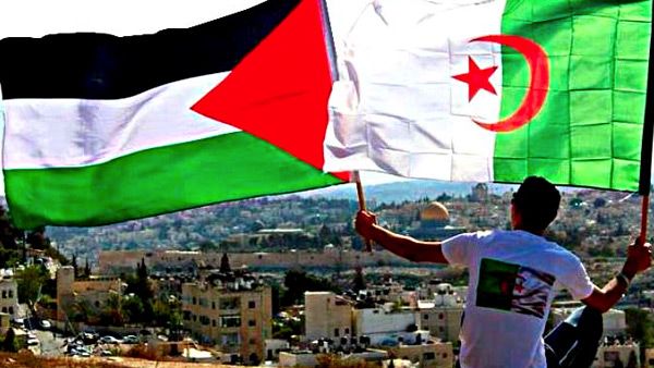 مع فلسطين إلى الأبد