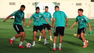  المنتخب الوطني للمحليين