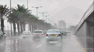 أمطار رعدية بمناطق وسط وشرق وجنوب غرب البلاد