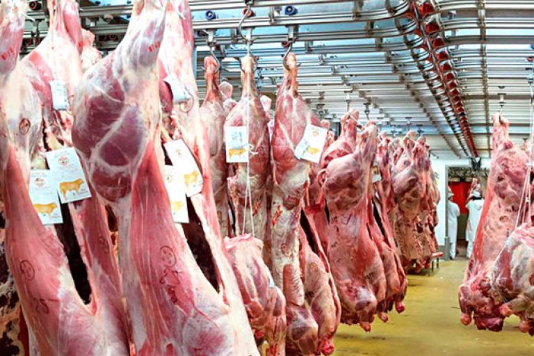 2000 بيطري يشلون المذابح لليوم الثاني