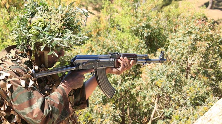 الجزائر سيدة قرارها وجيشها حصنها المنيع