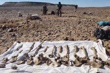 العدالة الإسبانية تفتح تحقيقا حول جرائم الإبادة ضد الصحراويين