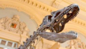 «ديناصور» غامض للبيع في باريس