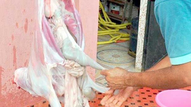 الأخصائيون يجددون الحملات التحسيسية