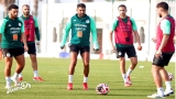 مواجهة ودية بمواصفات مونديالية لـ&quot;الخضر&quot;