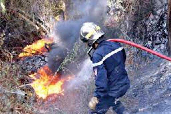 بعد تسجيل 38 بؤرة بمحاذاة الغابات