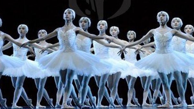 فرقة "سوتشي" تُبهر بأوبرا الجزائر