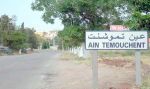 تخصيص 30 قطعة أرض للاستثمار