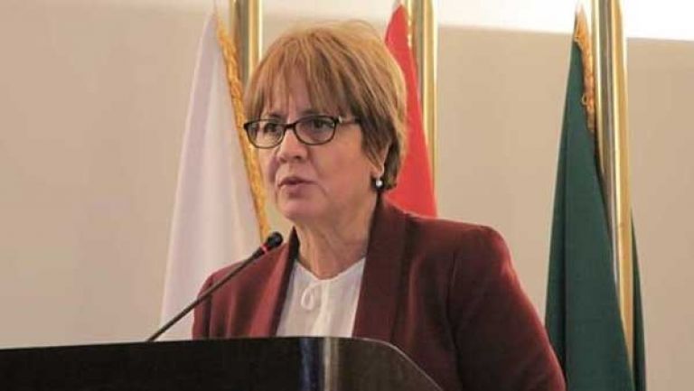 الدالية تشدد على تجسيد آليات مناهضة العنف ضد المرأة