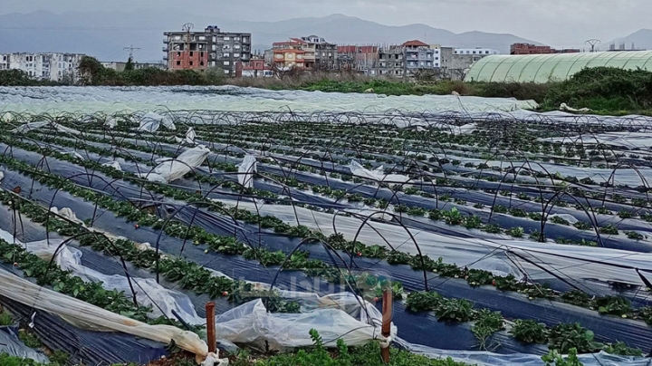 إحصاء الفلاحين المتضرّرين من التقلّبات الجوية