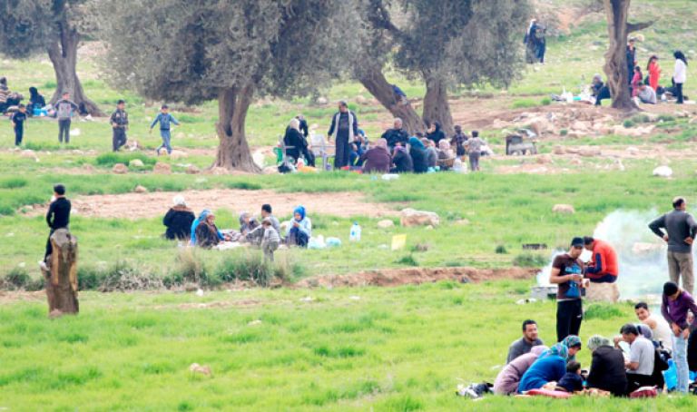 صفحات فايسبوكية تروج للتخييم