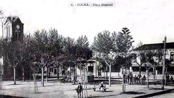 مدينة فوكة