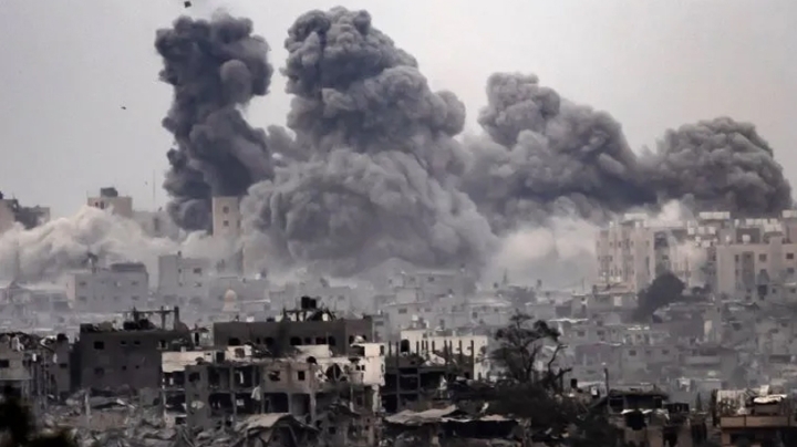 قطاع غزة فقد 97% من محاصيله الشجرية منذ 2023