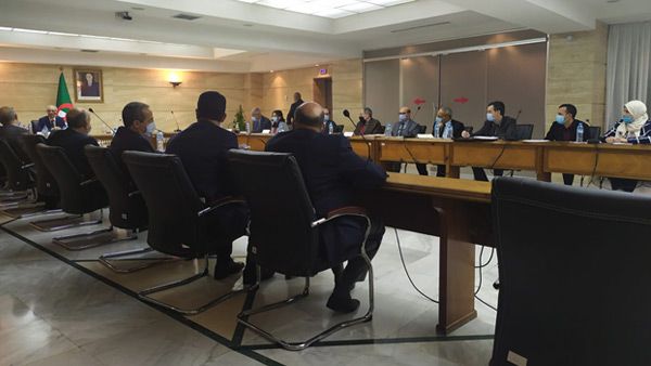 "فوج عمل" لمواجهة آثار كورونا