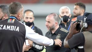 جمال بلماضي، مدرب المنتخب الوطني