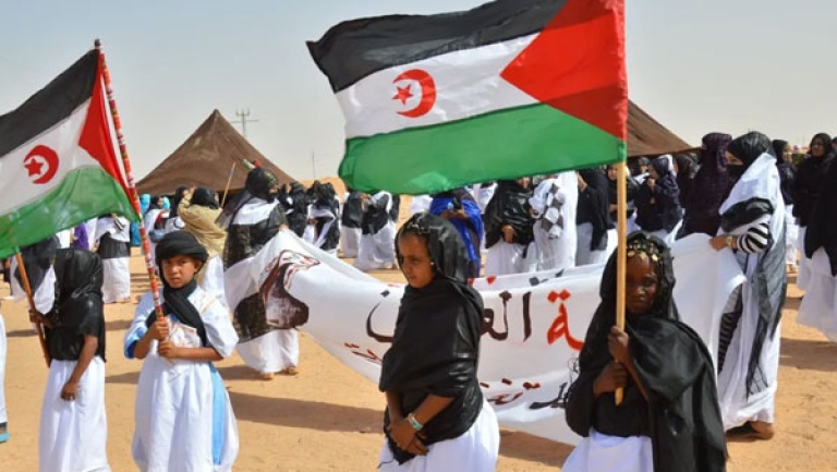 لجنة تضامن عربية تطالب بتصفية الاستعمار من الصحراء الغربية