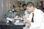استحداث 11 تخصصا جديدا