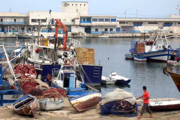 إنشاء مجمع لتصدير الأسماك