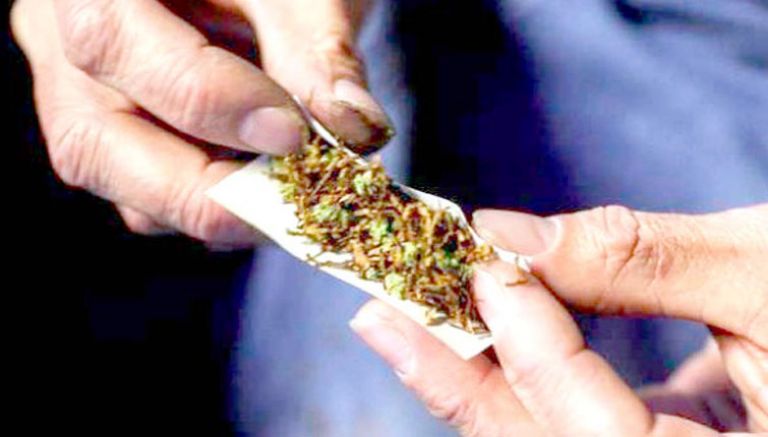 "الماريغونا" لمعالجة الأمراض النفسية