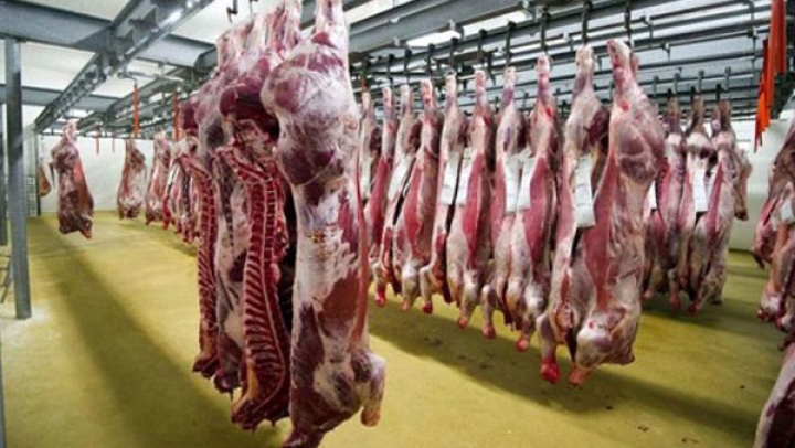 توفير 2500 طن من اللحوم في رمضان