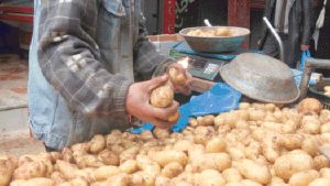 ارتفاع  أسعار البطاطا