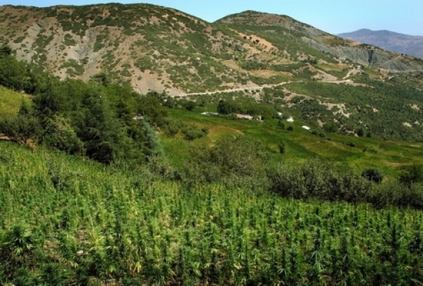 المغرب يشكّل خطرا على الجوار وعلى البلدان الهشّة