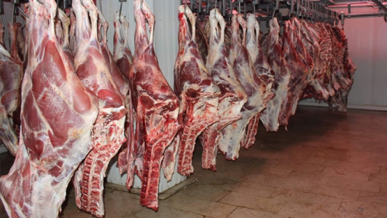 استيراد 111 ألف طن من اللحوم الحمراء في الأيام القادمة