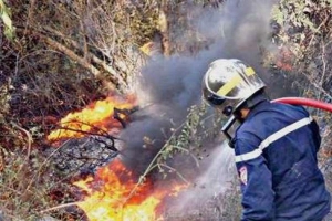 النيران تتلف 1 هكتار من الأحراش بغابة التسلية ببن عكنون