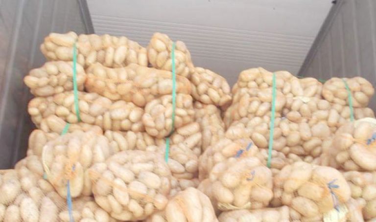 تخزين 210 آلاف قنطار من البطاطا