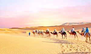 مسالك سياحية بين الجزائر وتونس لجلب الآسيويّين والروس