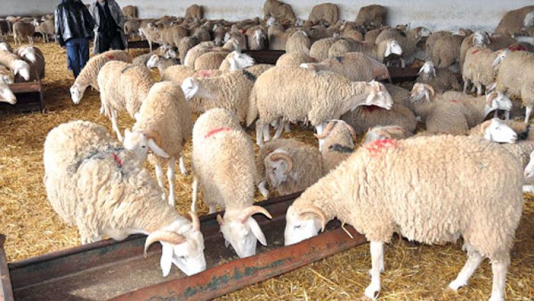 نرفض الاتفاقية ونطالب بورقة طريق لضبط السوق