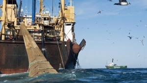 الأمم المتحدة تتوصل إلى اتفاق حول حماية أعالي البحار