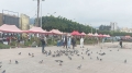 &quot;الربيع البليدي&quot; محطة للباحثين عن عبق الزمن الجميل