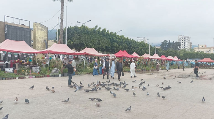 "الربيع البليدي" محطة للباحثين عن عبق الزمن الجميل