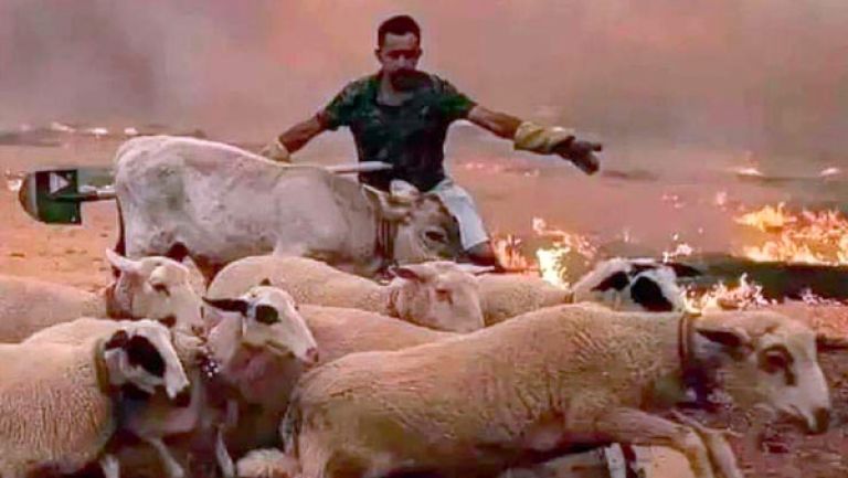 الشروع في تعويض المتضررين من الحرائق