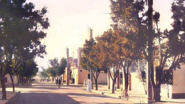 مدينة بشار