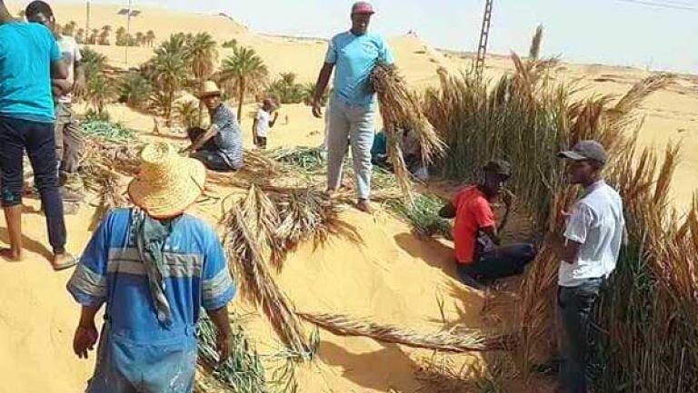 ‘’التويزة" ظاهرة اجتماعية قديمة تنتعش للمنفعة العامة