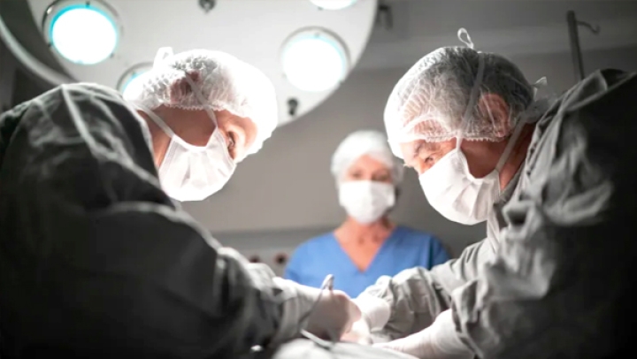 التحضير ليوم برلماني حول "زراعة الأعضاء في الجزائر"