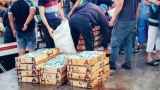 إنزال 100 طن يوميا بموانئ بومرداس
