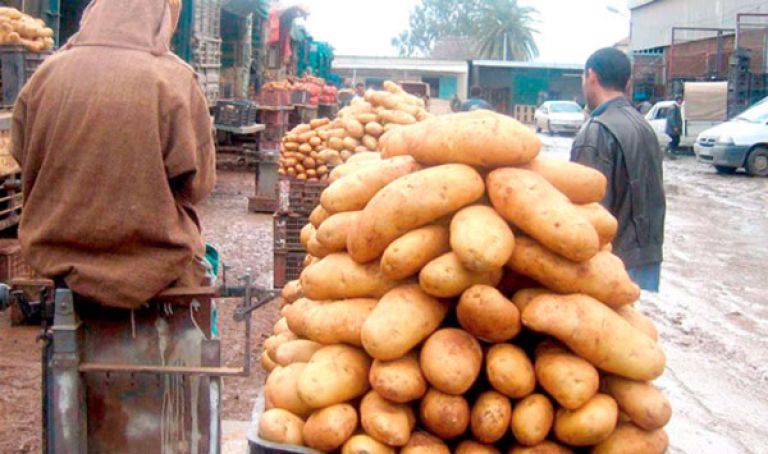 منتجو البطاطا يرمون منتوجهم في الطريق