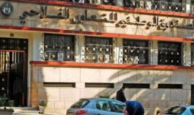 تعويض 400 مليار سنتيم للمتضررين من الفيضانات