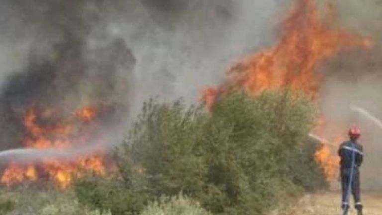 النيران تلتهم 8778 هكتارا من الغابات في شهرين