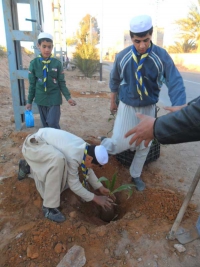 حملة تشجير واسعة بالمنطقة
