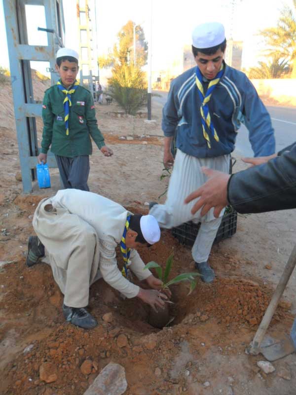 حملة تشجير واسعة بالمنطقة
