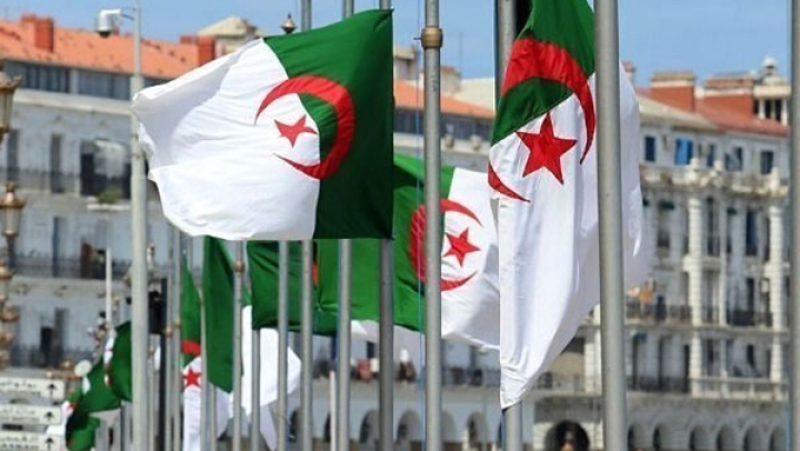 ملف الذاكرة قضية أمة.. وليس ريعا استعماريا