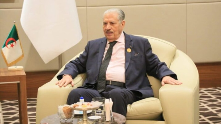 الجزائريات شريكات في بناء الجزائر الجديدة