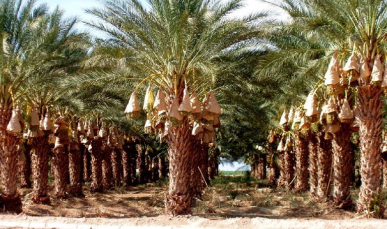 وفد من المتعاملين الفرنسيين بالجزائر لإتمام صفقات تجارية