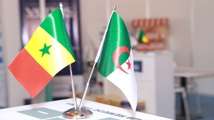 الجزائر- السنغال.. التوقيع على 13 اتفاقية تجارية